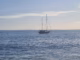 segelbåt gran canaria